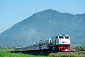 IMG-20250515-WA0140
