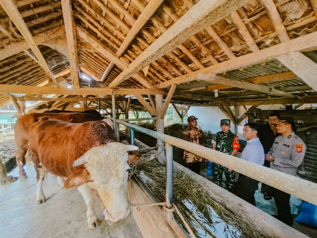 IMG-20250603-WA0007-1-1536x1152