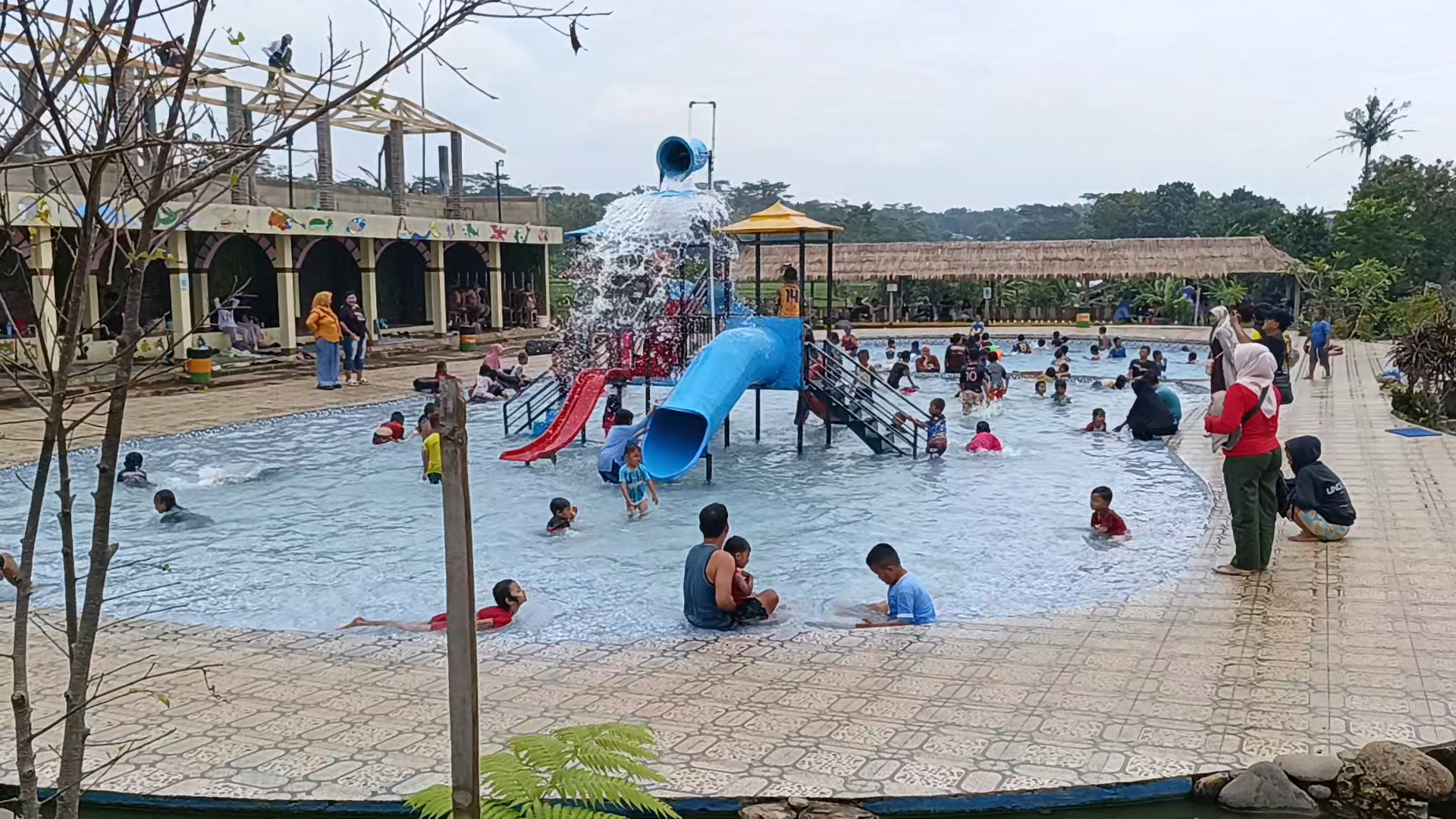 IMG_20260215_16055005