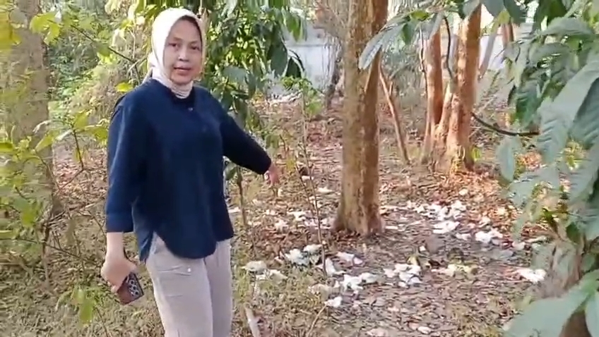 WhatsApp-Video-2026-08-18-at-19.26.39.mp4_snapshot_01.00.827
